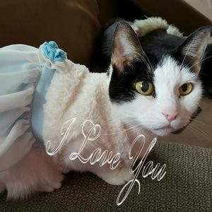 Meet your Posher, Sherry